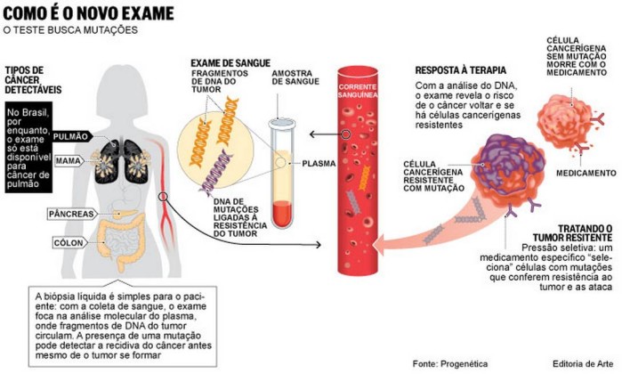 novo_exame